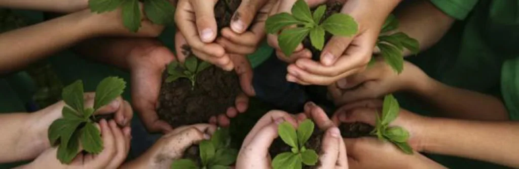 Summer holiday activity list: Gardening