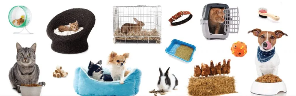 Pet care