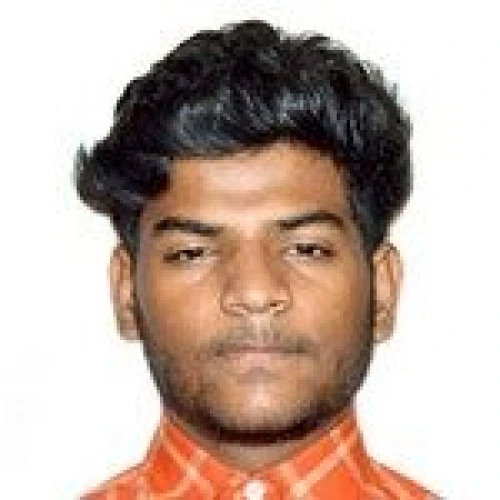 Bobbili L Vasanth